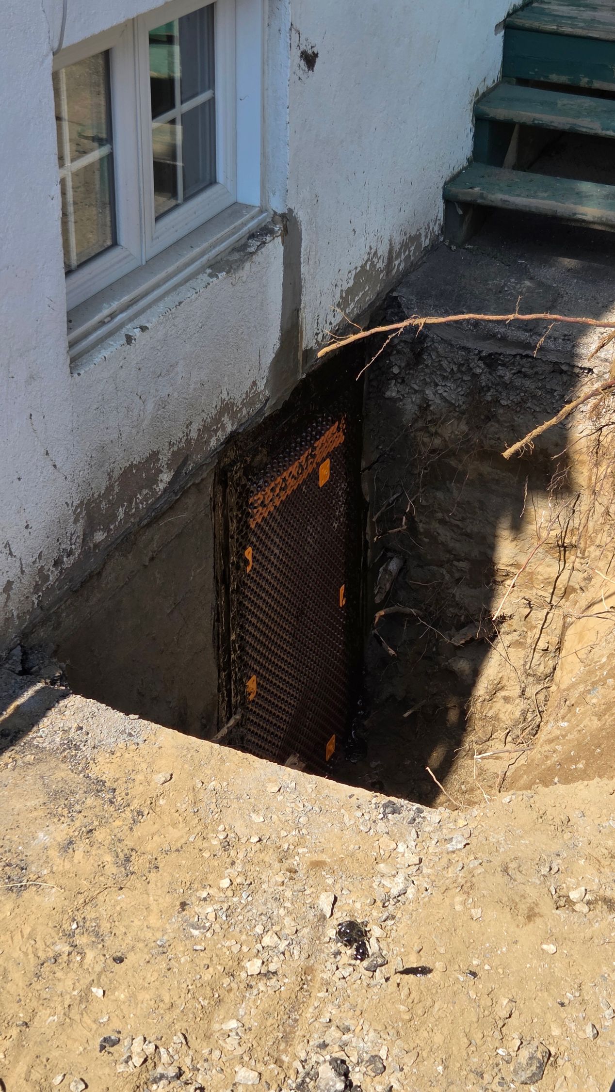 Une fenêtre de sous-sol et une porte en contrebas avec un mur de briques, des marches en béton et des ombres profondes.