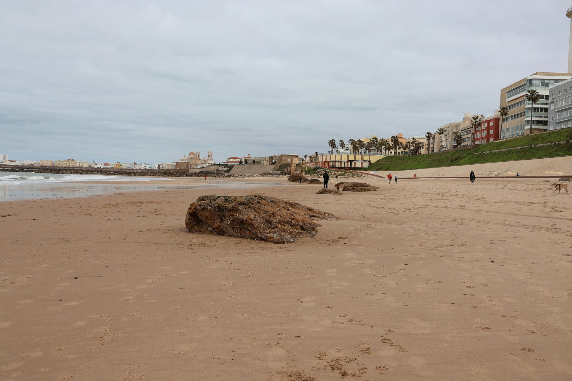 Una amplia playa de arena con troncos arrastrados por la corriente en primer plano, oleaje tranquilo a la izquierda y edificios en un acantilado cubierto de hierba en la distancia.
