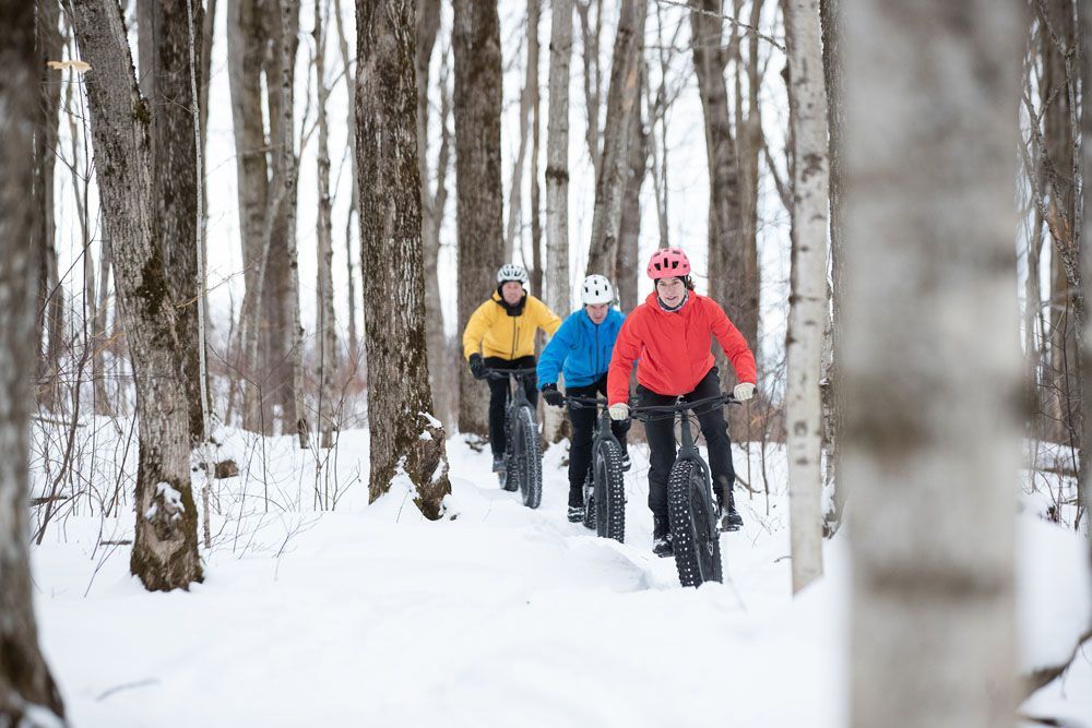 Trois personnes qui font du fatbike dans un sentier en forêt en hiver.