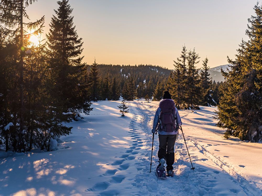 A person is walking through the snow with snowshoes.