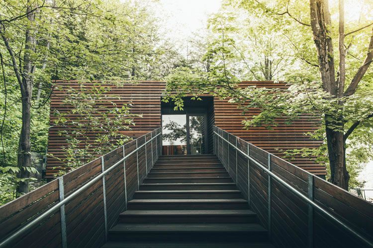 Wooden strairs leading to a wooden building in the woods.