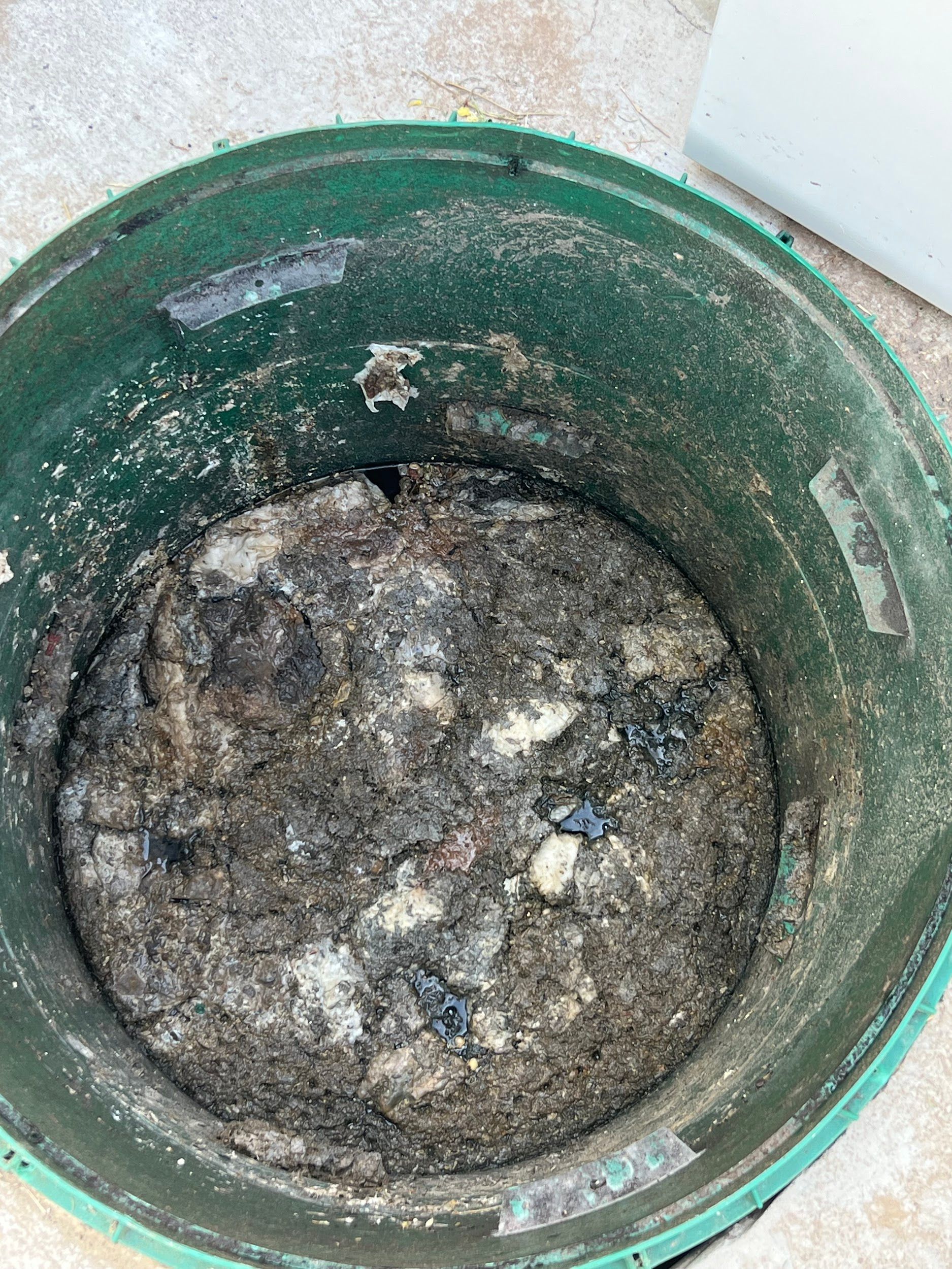 Open green septic tank lid revealing a layer of murky sludge and debris.