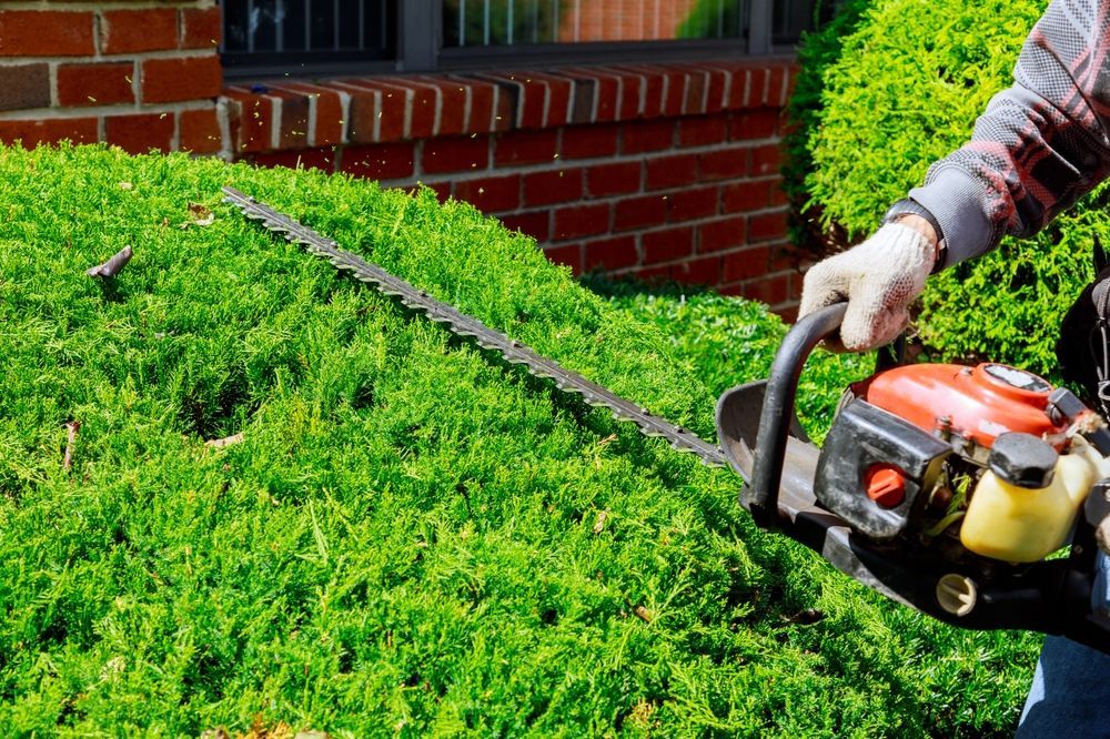 Person trimming a green bush with a hedge trimmer near a brick building.