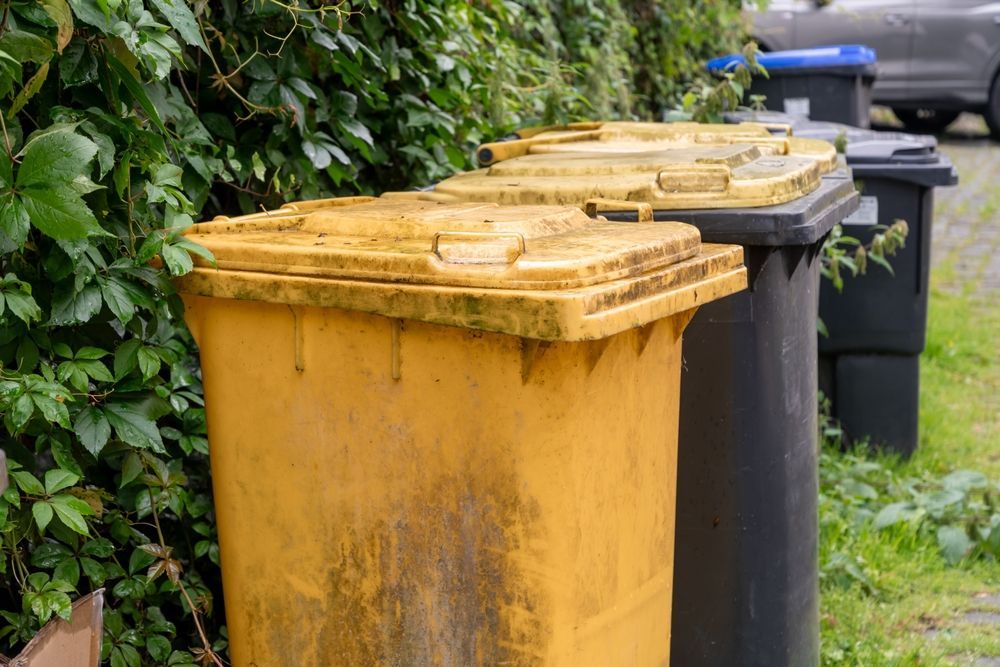 Yellow and black trash bins with closed lids next to a green hedge and parked cars.