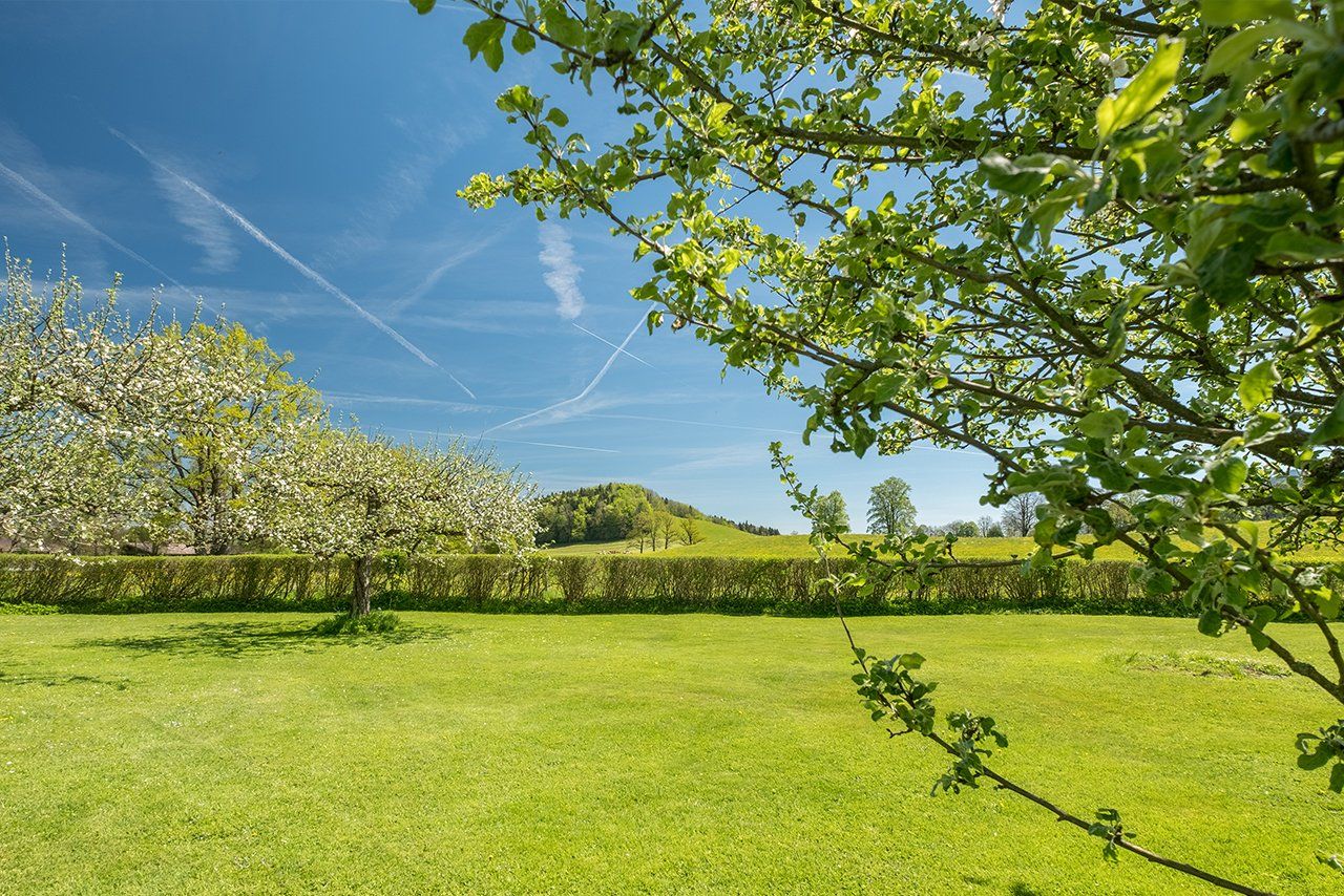 Blick auf die Obstwiesen vom Buchberghof Tegernsee mit bayerischem Himmel