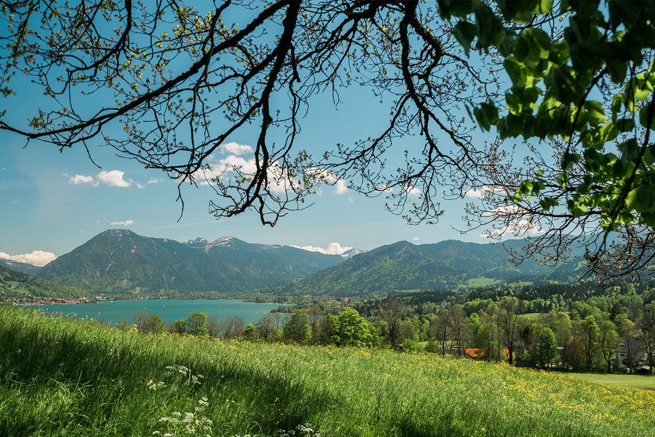 Blick auf den Tegernsee vom Buchberghof Tegernsee  in Bayern