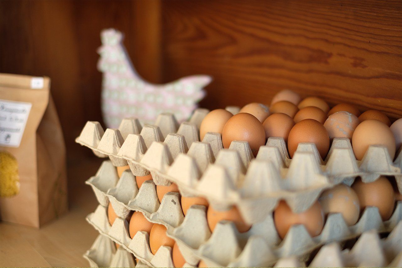 Die frischen und nachhaltig erzeugten Eier vom Hofladen Buchberghof Tegernsee in Bayern