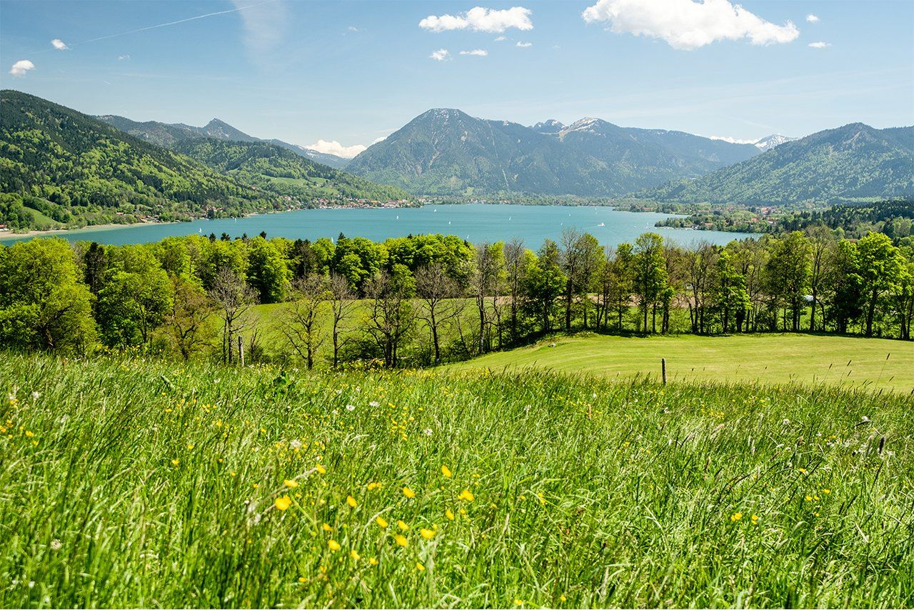 Der Buchberghof Tegernsee Ansichten mit Wagyu Rind aus Bayern