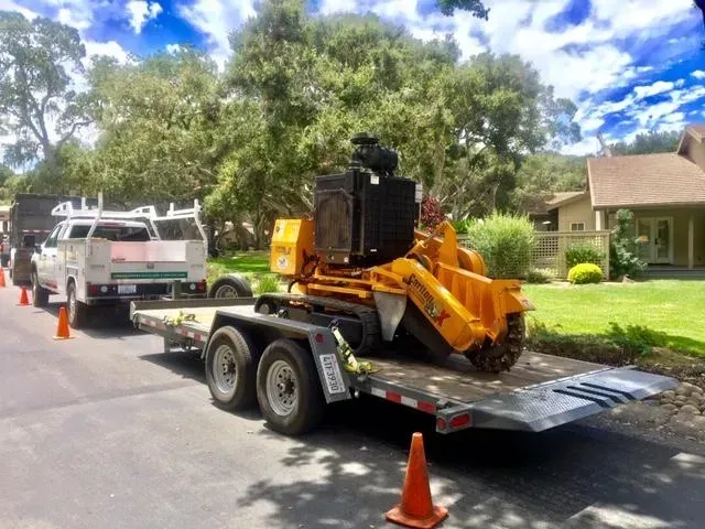 A tree stump grinder on a trailer parked on a street. A white truck and cones are present.