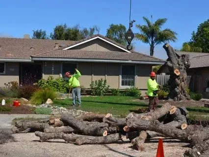 Two workers cutting tree in front of a house, logs in foreground, crane overhead.