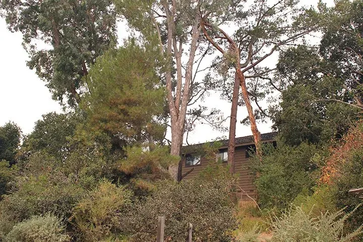 A wood building is partially visible among trees and shrubs.