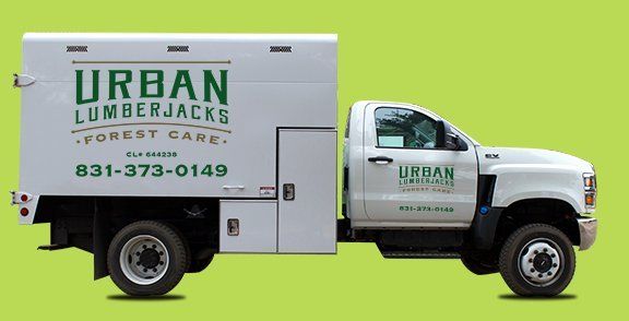 White work truck with 