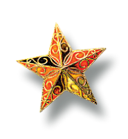 A star with a pattern on it is on a white background.