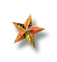 A star with a pattern on it is on a white background.