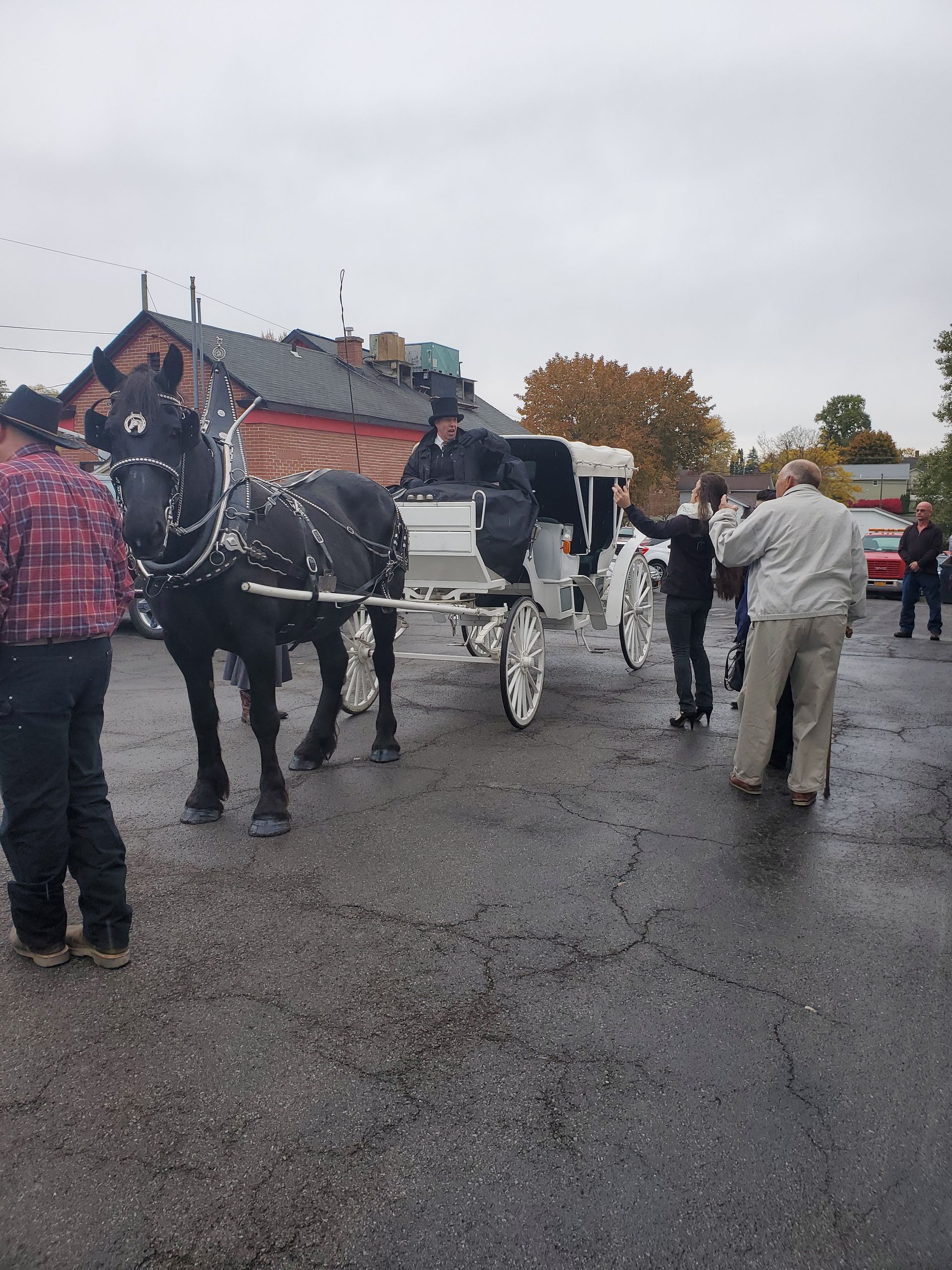Black horse-drawn carriage on wet pavement; people nearby.