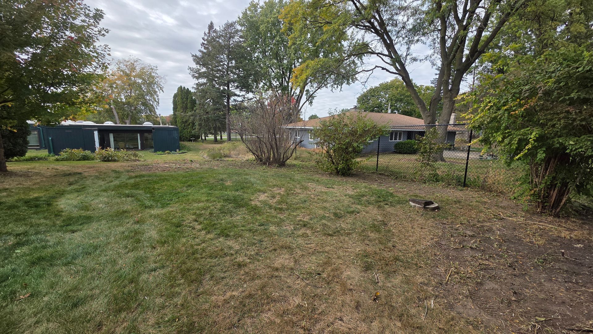 Overgrown backyard with a couple of blue-gray buildings, trees, and brown and green grass.