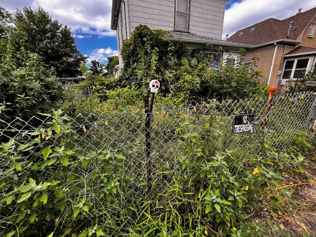 Overgrown yard with a chain-link fence, skull and crossbones sign, and partially visible houses.