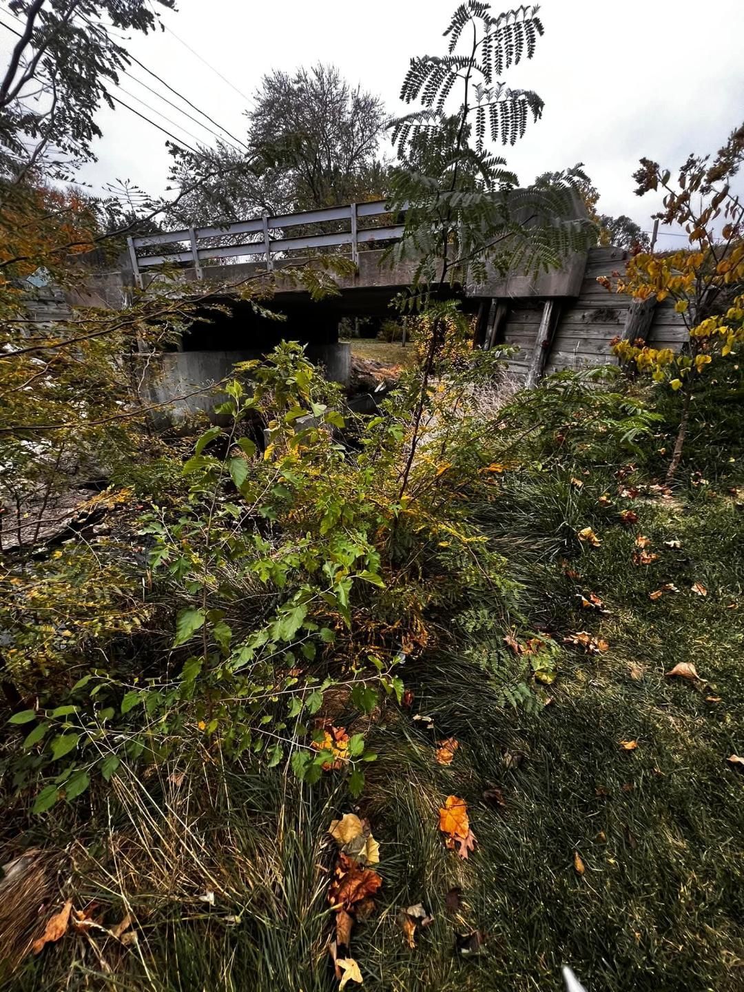 Overgrown concrete bridge with a wooden fence. Lush greenery surrounds the structure under an overcast sky.