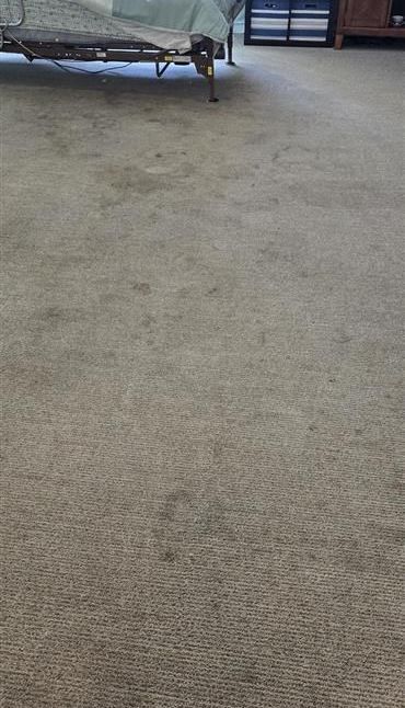 Beige carpet with dark stains, partially covered by a sofa, in a living room.