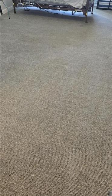 Beige carpet in a room, a metal bed frame in the background.