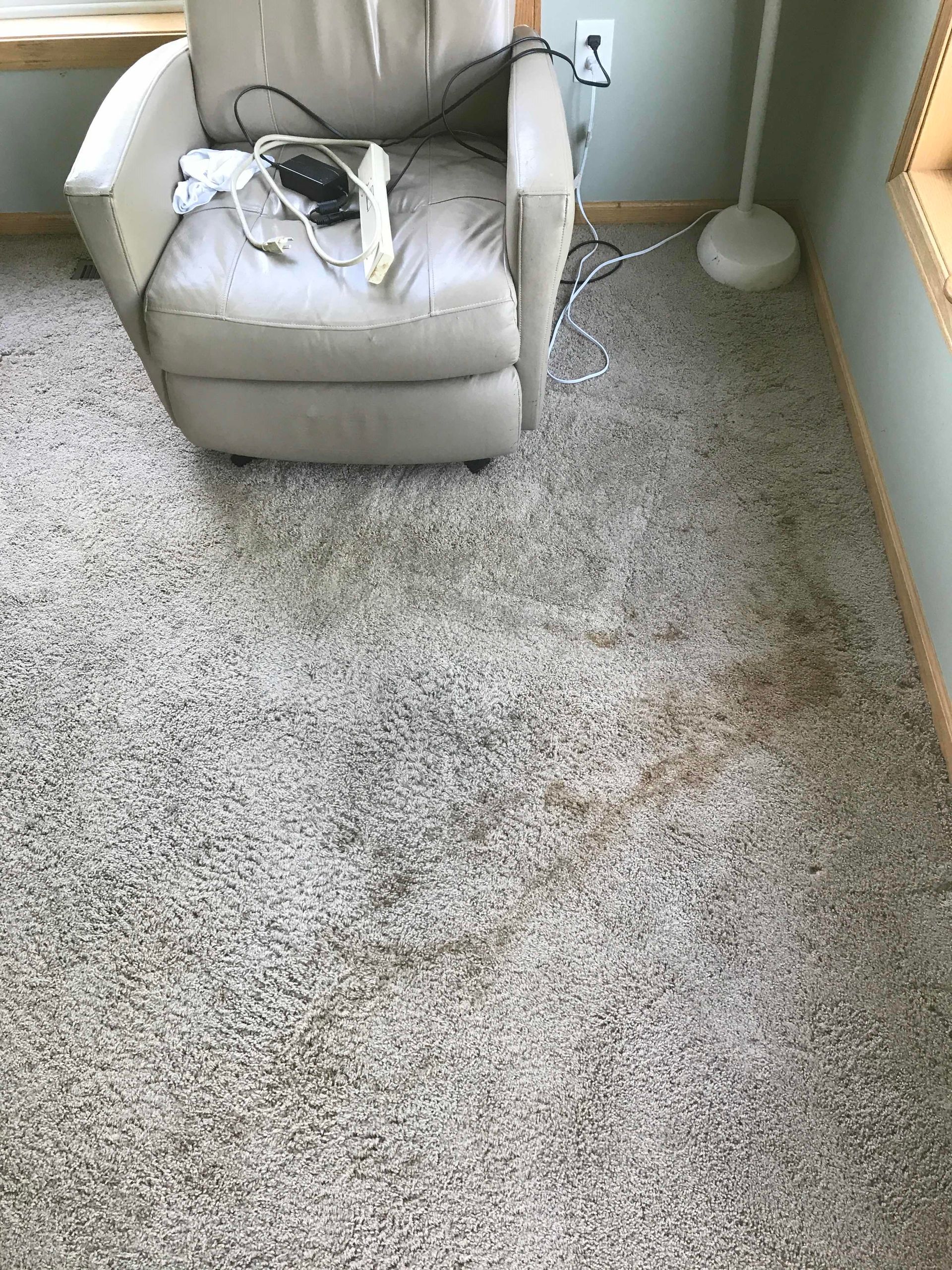 Carpet Cleaning Faribault, MN Bauer Restoration Inc