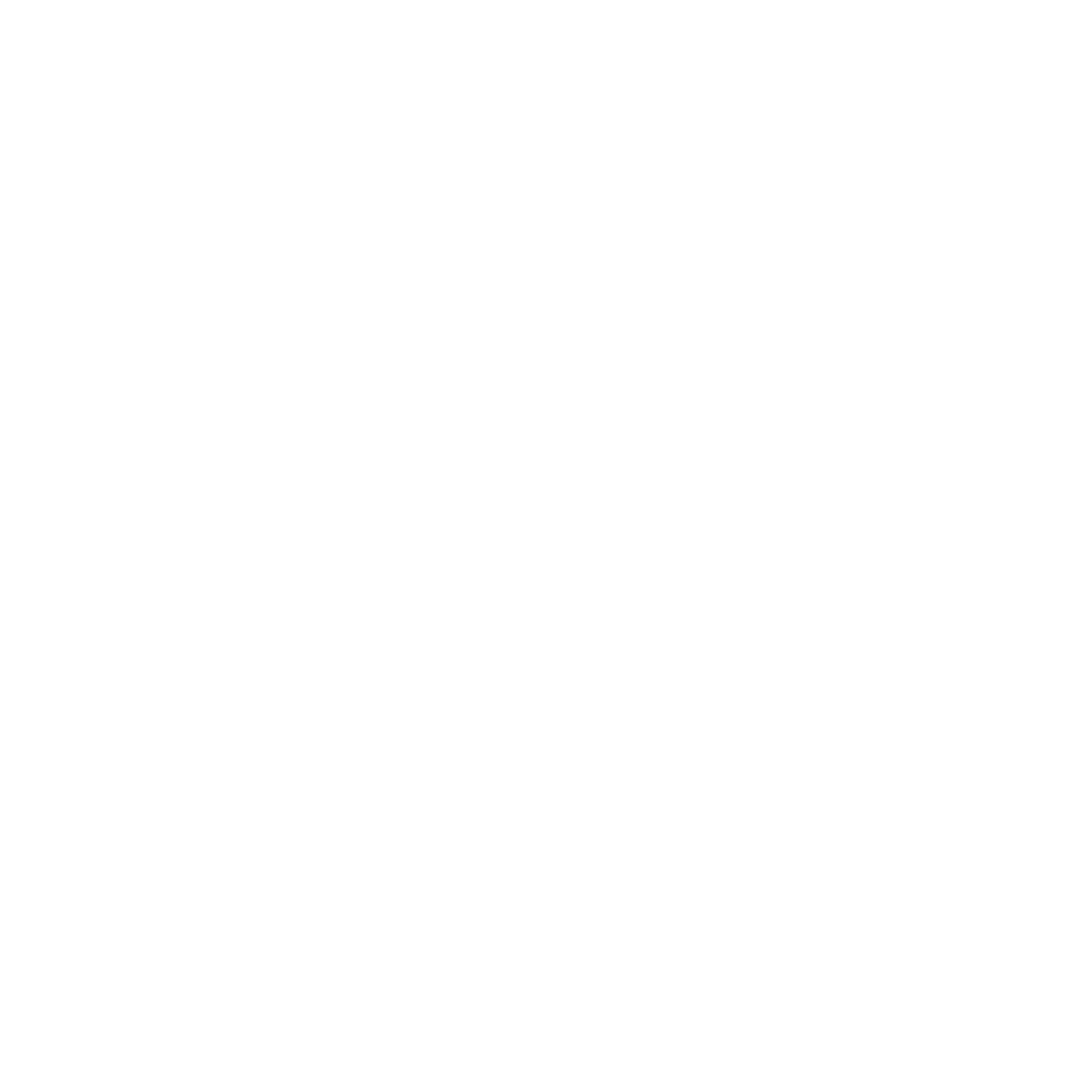 Martin Guitar