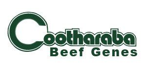 Coothabara Beef Genes in Euthulla QLD