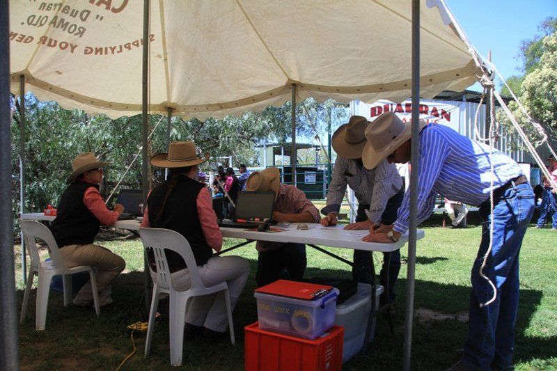 staff inside the tent