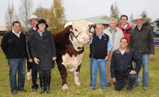 Group of people and cow