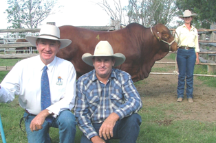 group of people and cow