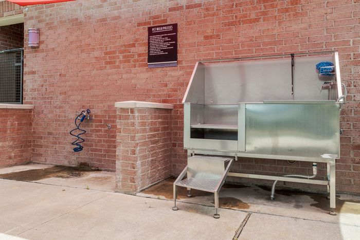 Stainless steel dog wash station on a brick wall with a step stool and a water hose.