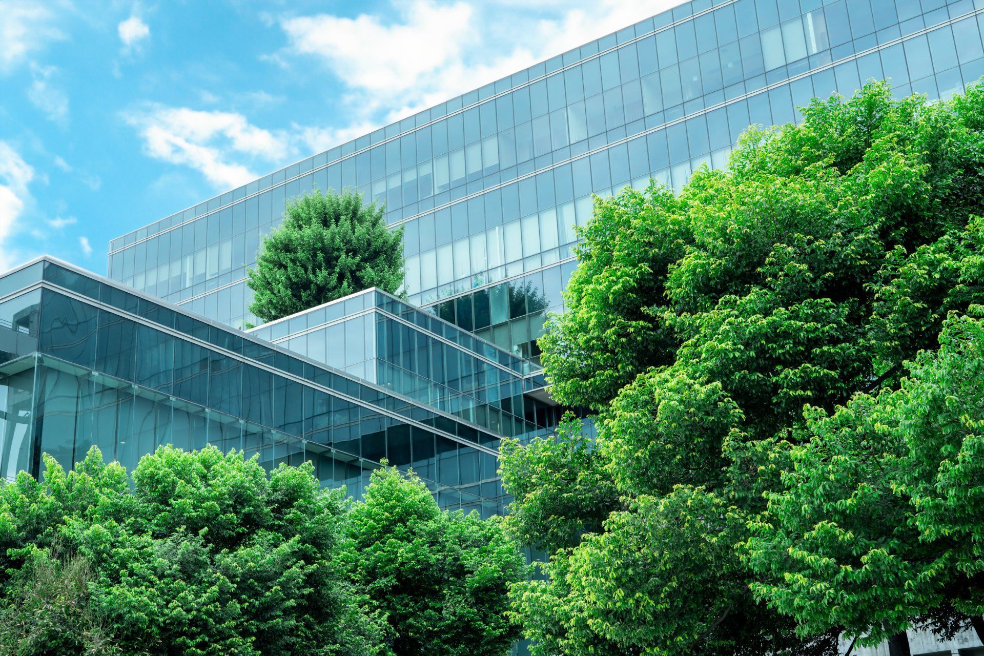 A large building with lots of windows and trees in front of it