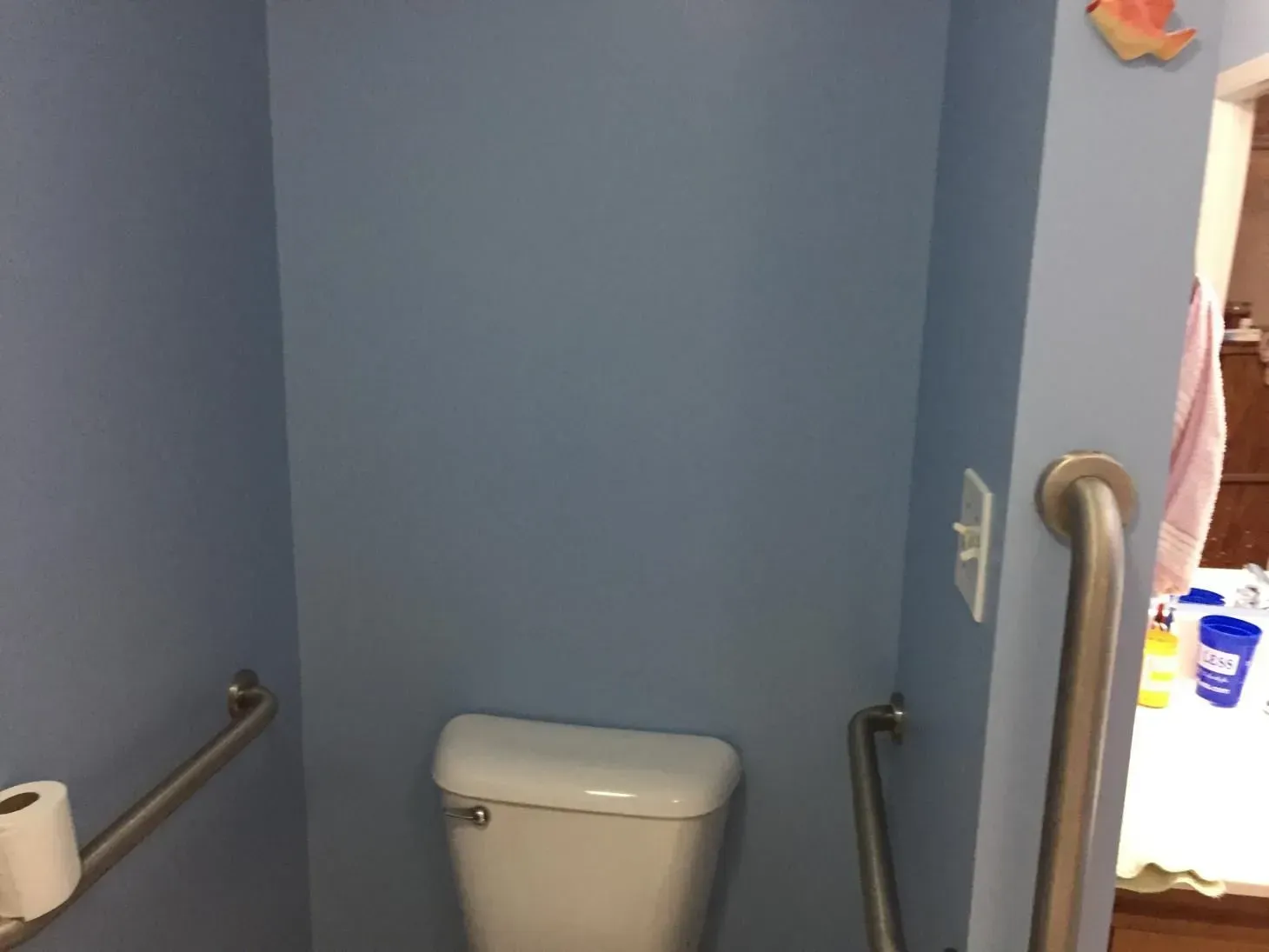 Blue-painted accessible bathroom with a toilet, grab bars, and a partially visible roll of toilet paper.
