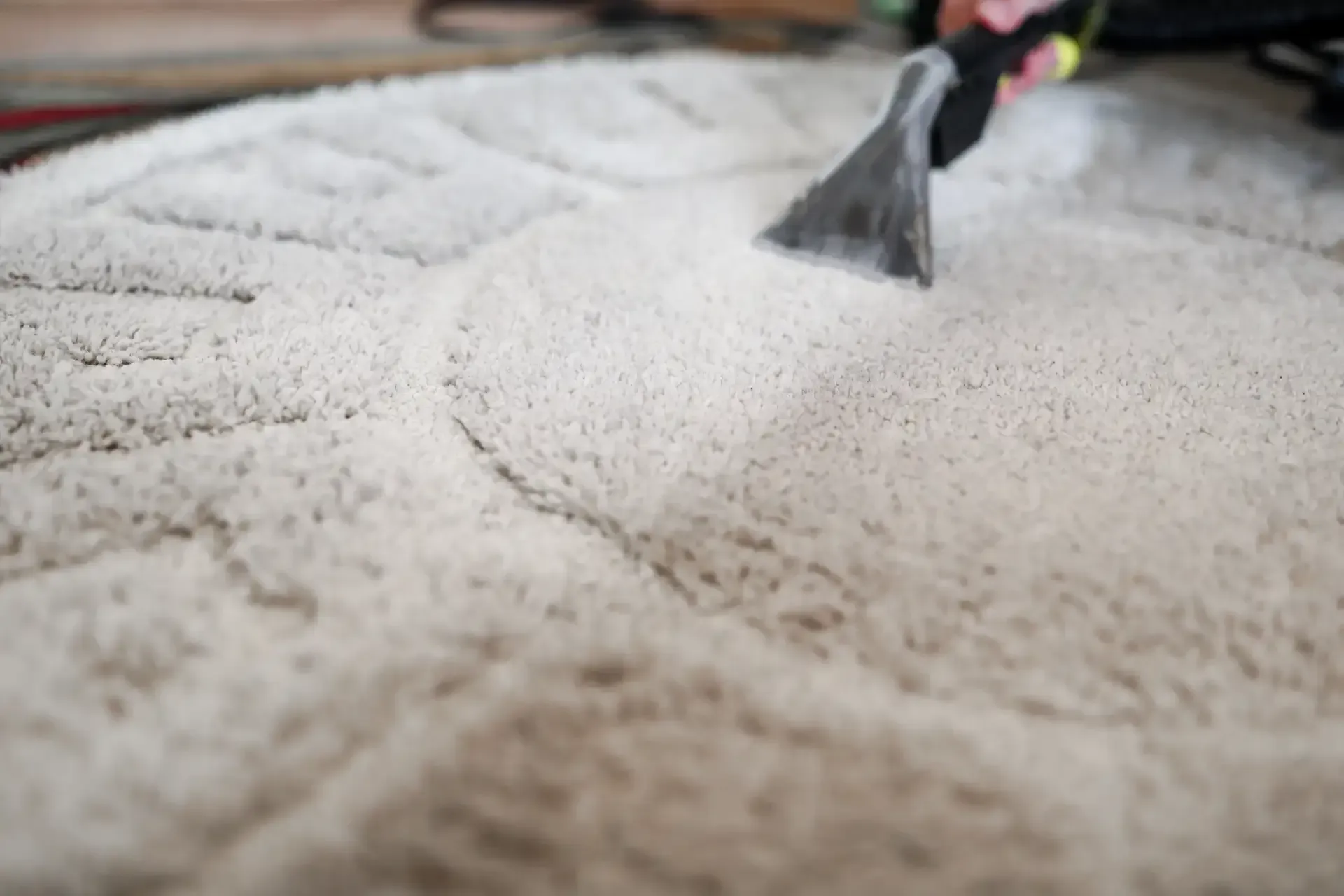 A person is cleaning a rug with a vacuum cleaner.