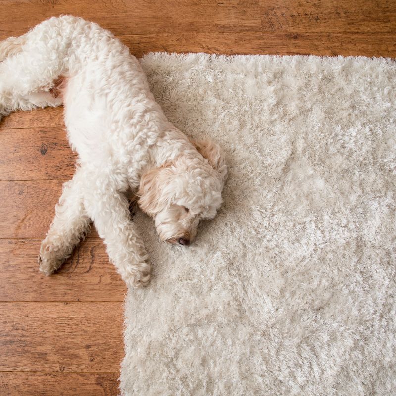 A white dog is laying on a white rug on a wooden floor.