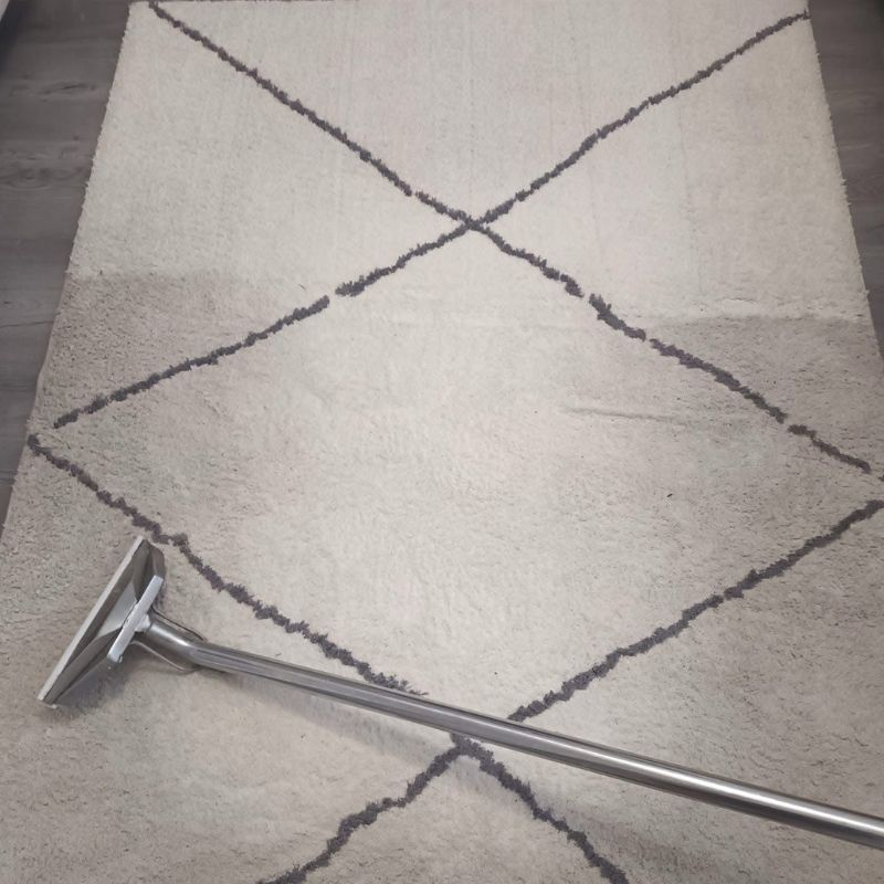 A vacuum cleaner is sitting on top of a rug
