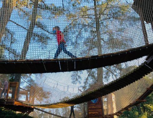 TreeWalk Adventure