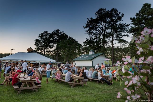 Celebrations Picnic - Adult