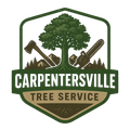 tree-service-carpentersville-illinois