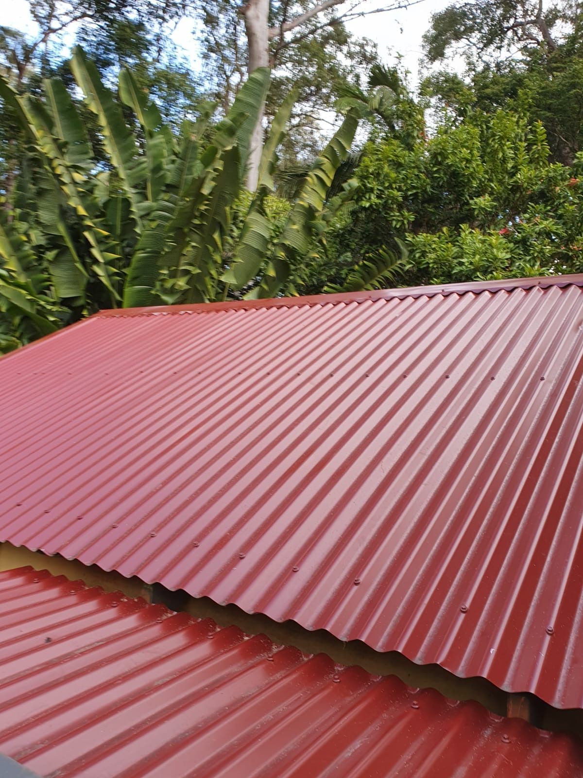 A red corrugated metal roof with trees in the background