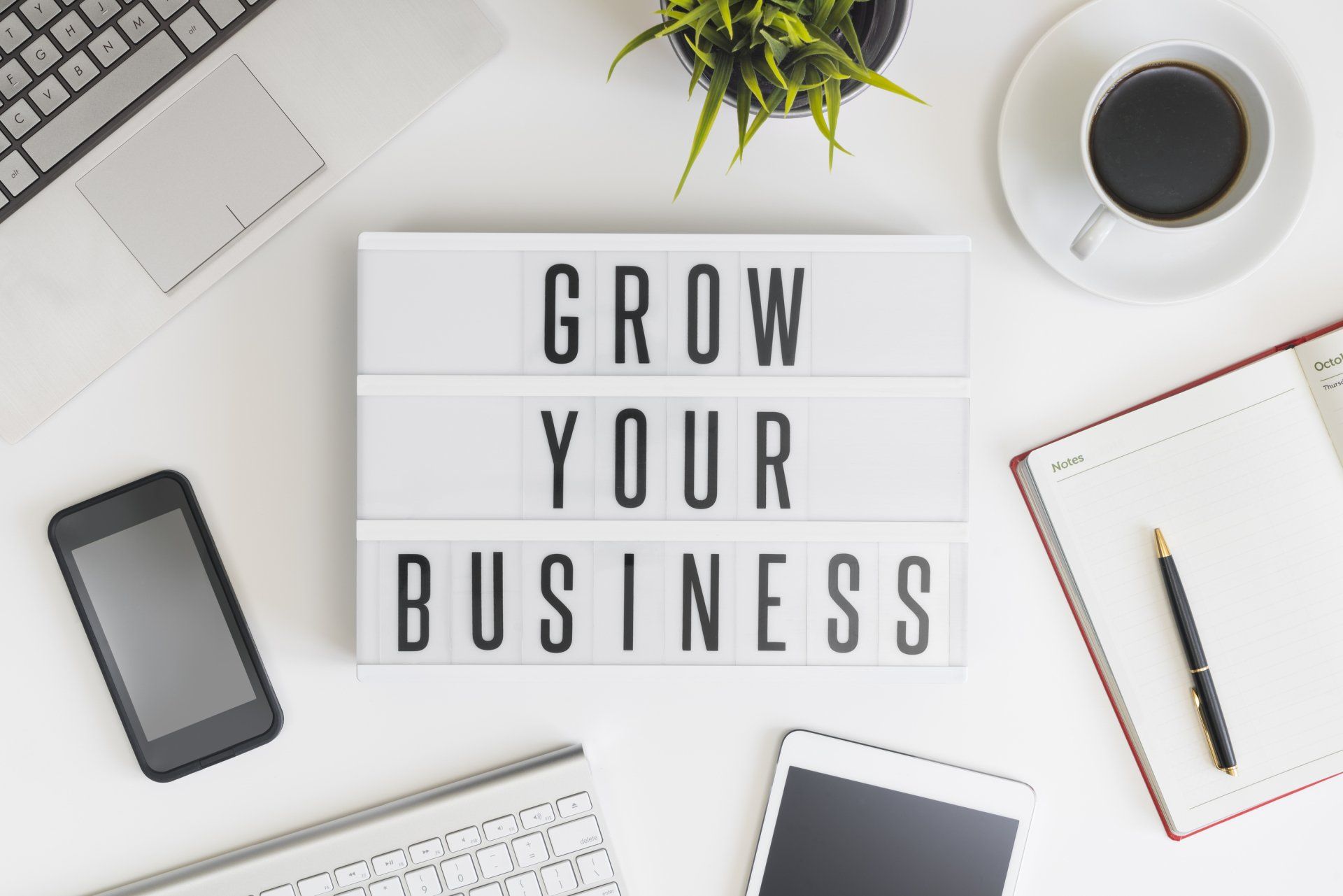 expert consultants to help you grow your business