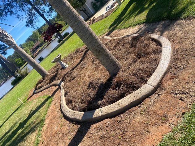 A tree in a garden with a concrete curb around it