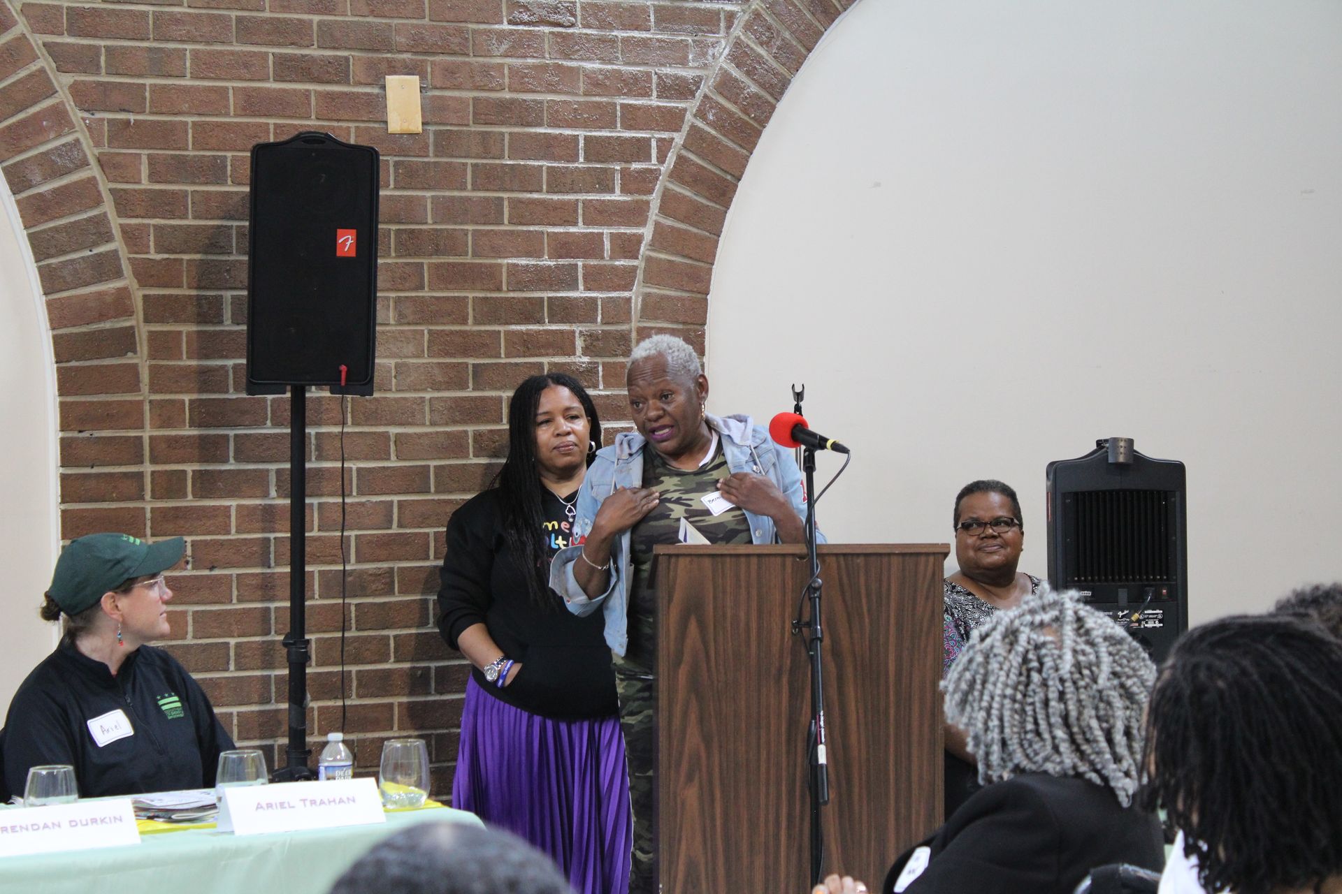Panelists at a podium speak in front of a brick wall and audience.