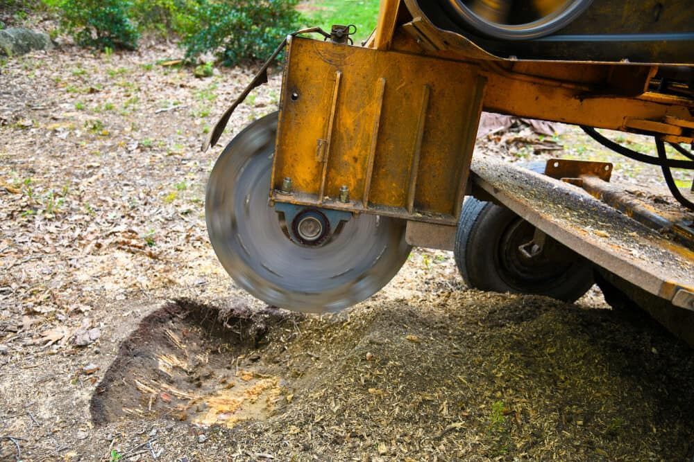 A Machine is Cutting a Tree Stump in the Ground — Noosa Tree Stump Removal in Cooroy, QLD