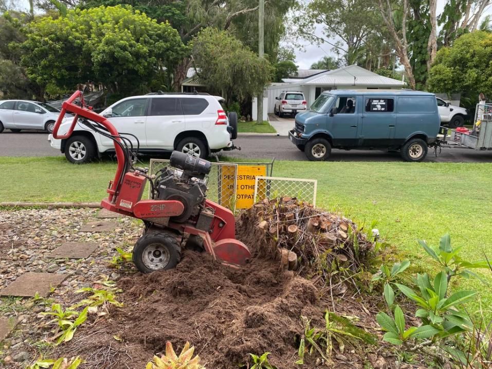 A Stump Grinder Is Being Used To Remove A Tree Stump — Noosa Tree Stump Removal In Sunrise Beach, QLD