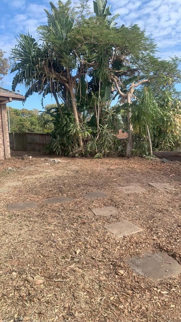 A Dirt Field With Trees In The Background And A House In The Background — Noosa Tree Stump Removal In Sunrise Beach, QLD