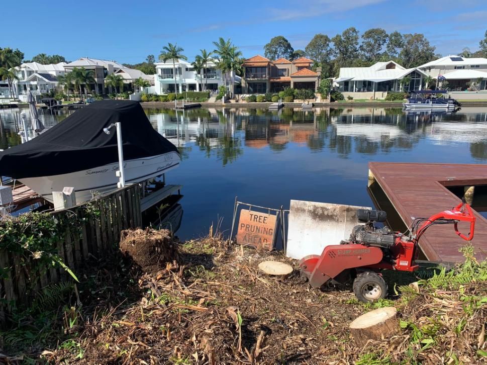 A Boat Is Docked At A Dock Next To A Body Of Water — Noosa Tree Stump Removal In Sunrise Beach, QLD