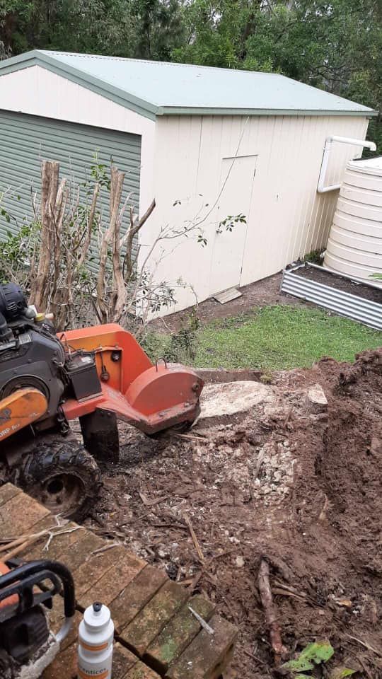 A Stump Grinder Is Sitting In The Dirt Next To A Shed — Noosa Tree Stump Removal In Sunrise Beach, QLD