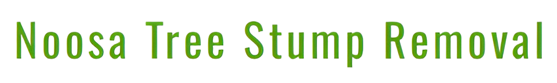 Tree Services & Stump Removal In Noosa