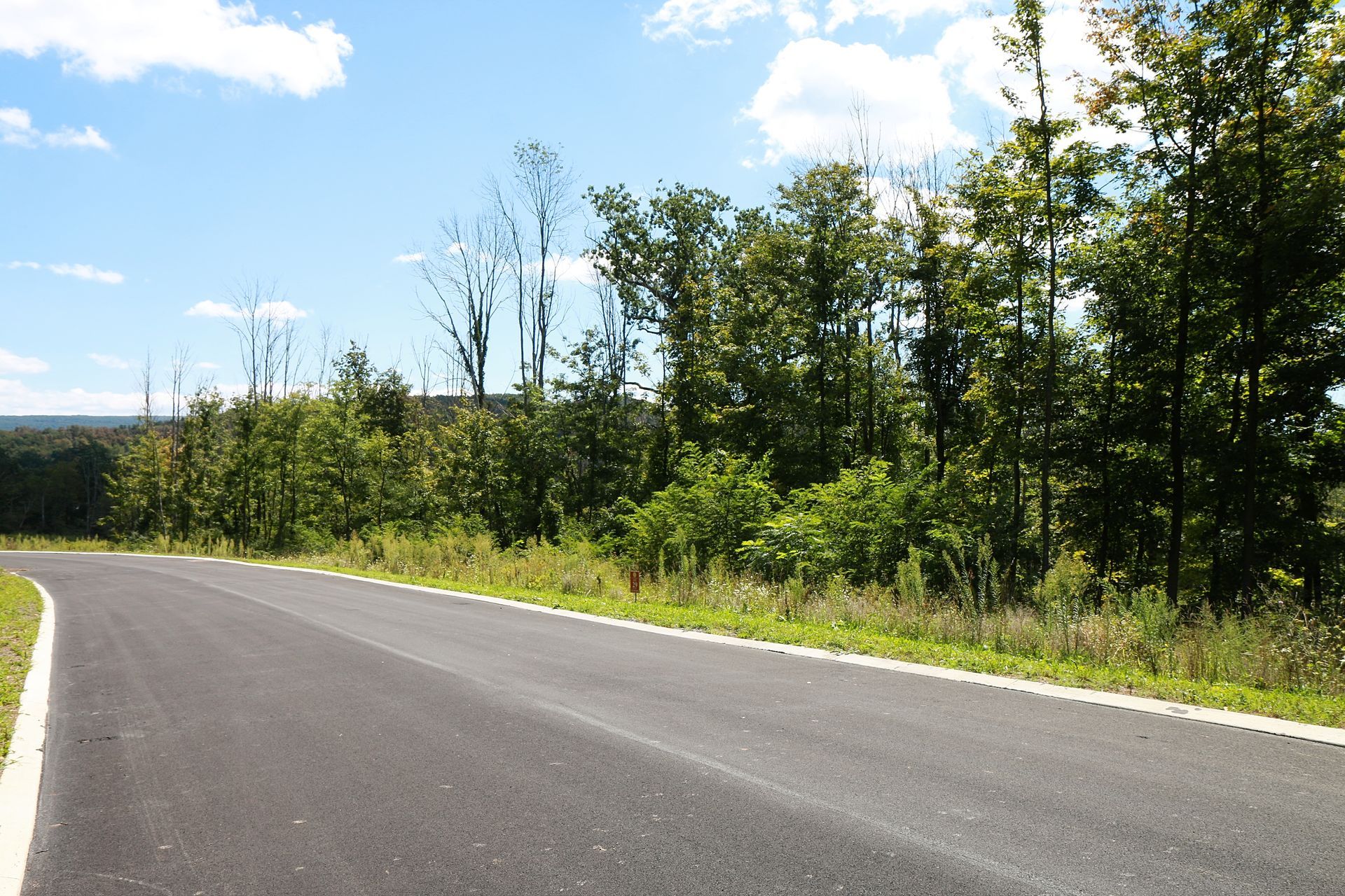 Asphalt road curving through a wooded area under a blue sky with some clouds.